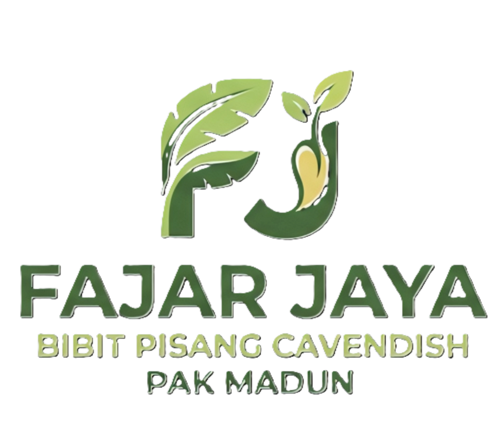 CV Fajar Jaya Cavendish